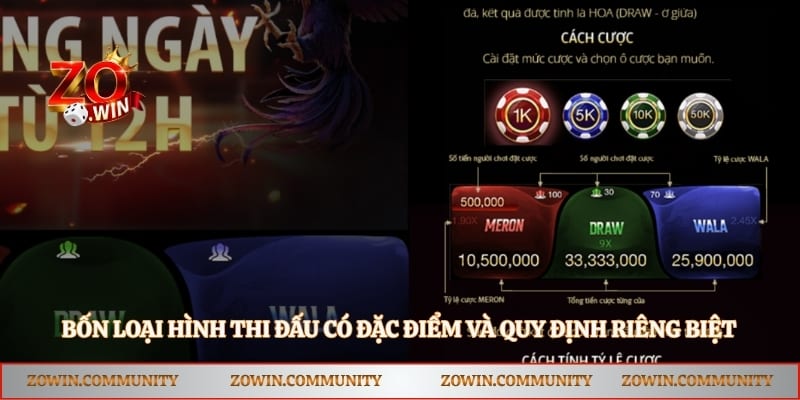 Bốn loại hình thi đấu có đặc điểm và quy định riêng biệt